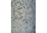spray-or-dash-texture-and-knoced-down